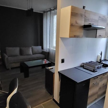 Apartament Pod Wieza Appartement Piotrków Trybunalski Buitenkant foto